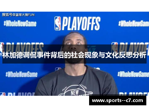 林加德调侃事件背后的社会现象与文化反思分析 林加德调侃事件背后的社会现象与文化反思分析