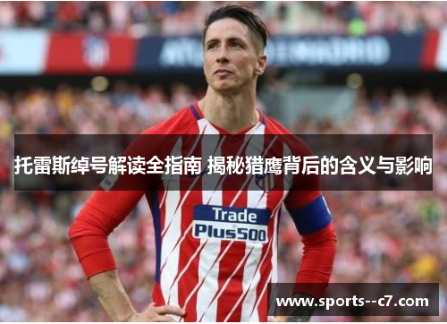 托雷斯绰号解读全指南 揭秘猎鹰背后的含义与影响 托雷斯绰号解读全指南 揭秘猎鹰背后的含义与影响