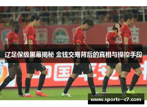 辽足保级黑幕揭秘 金钱交易背后的真相与操控手段 辽足保级黑幕揭秘 金钱交易背后的真相与操控手段