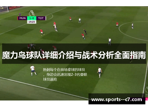 魔力鸟球队详细介绍与战术分析全面指南
