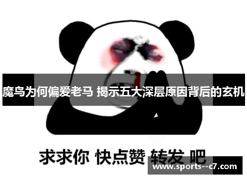 魔鸟为何偏爱老马 揭示五大深层原因背后的玄机
