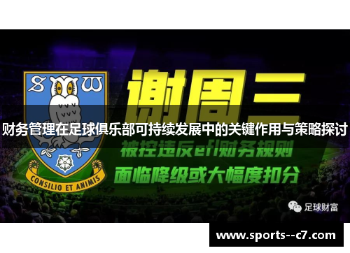 财务管理在足球俱乐部可持续发展中的关键作用与策略探讨