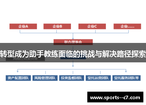 转型成为助手教练面临的挑战与解决路径探索