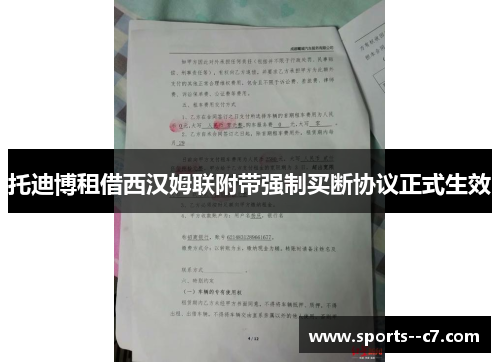 托迪博租借西汉姆联附带强制买断协议正式生效 托迪博租借西汉姆联附带强制买断协议正式生效