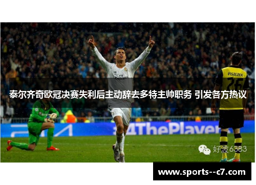 泰尔齐奇欧冠决赛失利后主动辞去多特主帅职务 引发各方热议 泰尔齐奇欧冠决赛失利后主动辞去多特主帅职务 引发各方热议