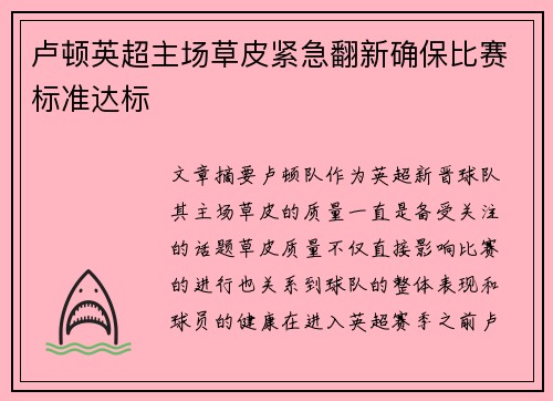 卢顿英超主场草皮紧急翻新确保比赛标准达标