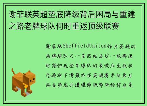 谢菲联英超垫底降级背后困局与重建之路老牌球队何时重返顶级联赛